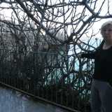 La proprietaria ci indica un albero di fico ancora spoglio ...
